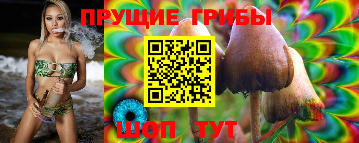 Псилоцибиновые грибы GOLDEN TEACHER  Вход с VPN  Галлюциногенные грибы MAGIC MUSHROOMS  Узловая 