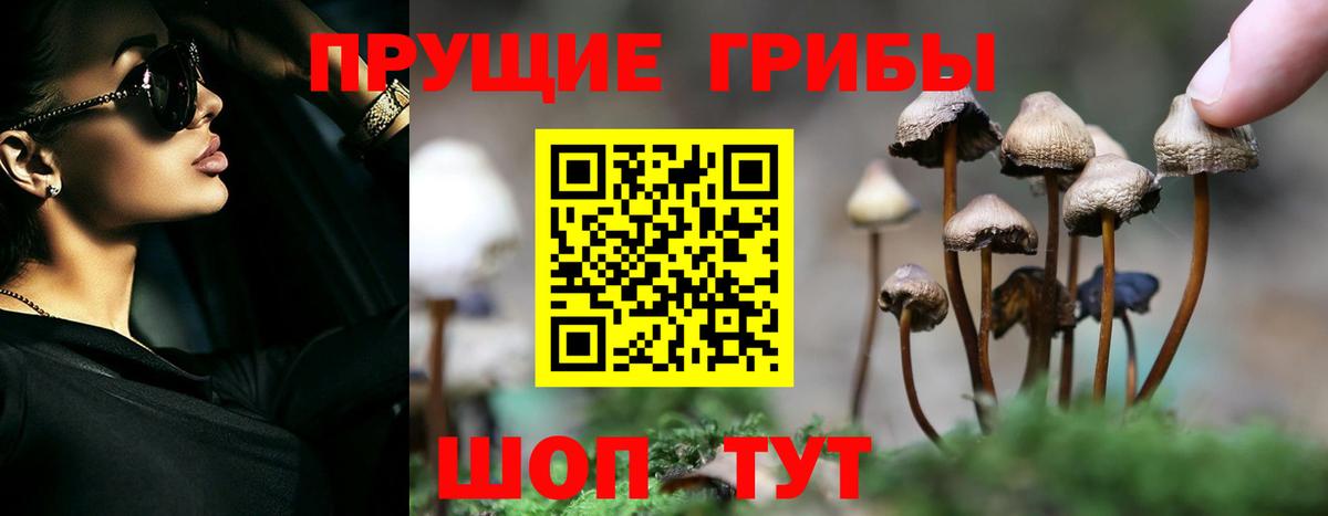 Галлюциногенные грибы мицелий Узловая